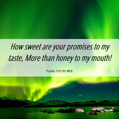 Picture 06 - Psalms 119:103 WEB - How sweet are your promises to my taste, More - Bible Verse Picture