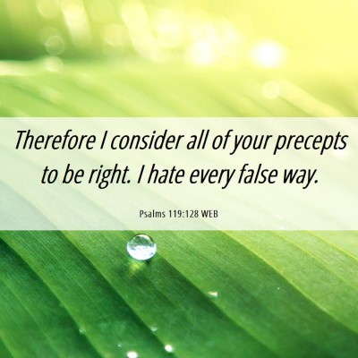 Picture 06 - Psalms 119:128 WEB - Therefore I consider all of your precepts to be - Bible Verse Picture