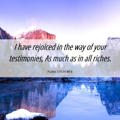 Picture 06 - Psalms 119:14 WEB - I have rejoiced in the way of your testimonies, - Bible Verse Picture