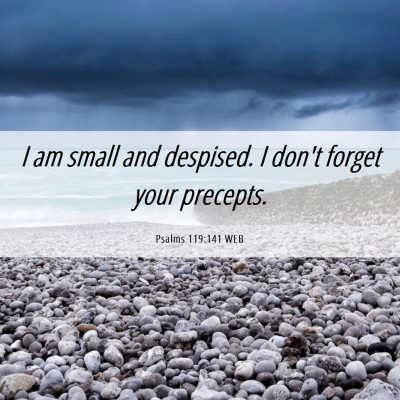 Picture 06 - Psalms 119:141 WEB - I am small and despised. I don't forget your - Bible Verse Picture