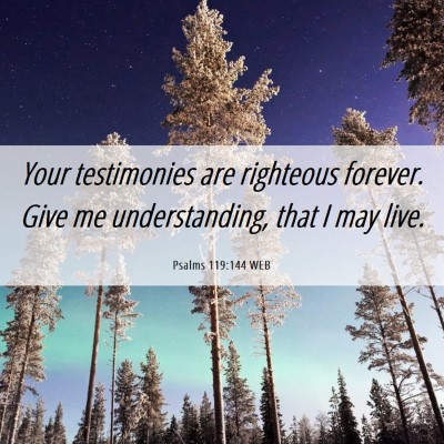 Picture 06 - Psalms 119:144 WEB - Your testimonies are righteous forever. Give me - Bible Verse Picture