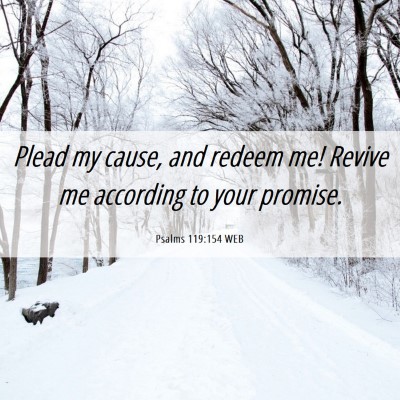 Picture 06 - Psalms 119:154 WEB - Plead my cause, and redeem me! Revive me - Bible Verse Picture
