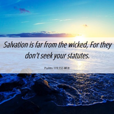 Picture 06 - Psalms 119:155 WEB - Salvation is far from the wicked, For they don't - Bible Verse Picture