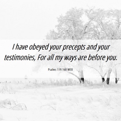 Picture 06 - Psalms 119:168 WEB - I have obeyed your precepts and your testimonies, - Bible Verse Picture