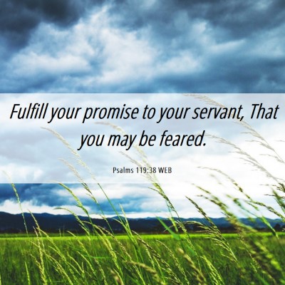 Picture 06 - Psalms 119:38 WEB - Fulfill your promise to your servant, That you - Bible Verse Picture