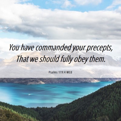 Picture 06 - Psalms 119:4 WEB - You have commanded your precepts, That we should - Bible Verse Picture