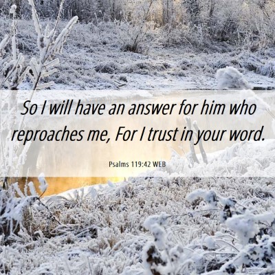 Picture 06 - Psalms 119:42 WEB - So I will have an answer for him who reproaches - Bible Verse Picture