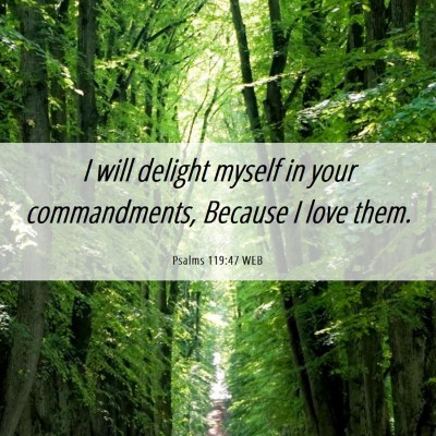 Picture 06 - Psalms 119:47 WEB - I will delight myself in your commandments, - Bible Verse Picture