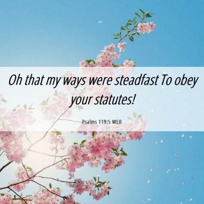 Picture 06 - Psalms 119:5 WEB - Oh that my ways were steadfast To obey your - Bible Verse Picture