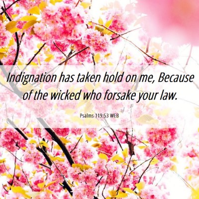 Picture 06 - Psalms 119:53 WEB - Indignation has taken hold on me, Because of the - Bible Verse Picture