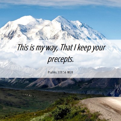 Picture 06 - Psalms 119:56 WEB - This is my way, That I keep your - Bible Verse Picture