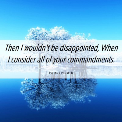 Picture 06 - Psalms 119:6 WEB - Then I wouldn't be disappointed, When I consider - Bible Verse Picture