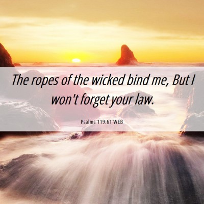 Picture 06 - Psalms 119:61 WEB - The ropes of the wicked bind me, But I won't - Bible Verse Picture