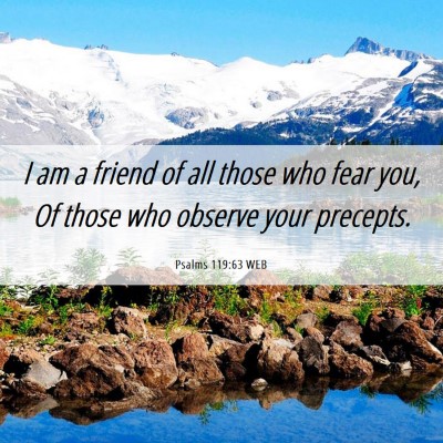 Picture 06 - Psalms 119:63 WEB - I am a friend of all those who fear you, Of those - Bible Verse Picture