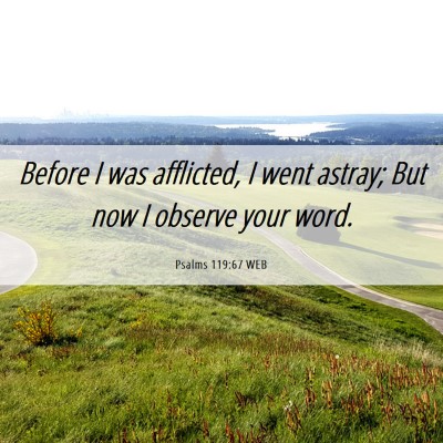 Picture 06 - Psalms 119:67 WEB - Before I was afflicted, I went astray; But now I - Bible Verse Picture