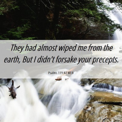 Picture 06 - Psalms 119:87 WEB - They had almost wiped me from the earth, But I - Bible Verse Picture