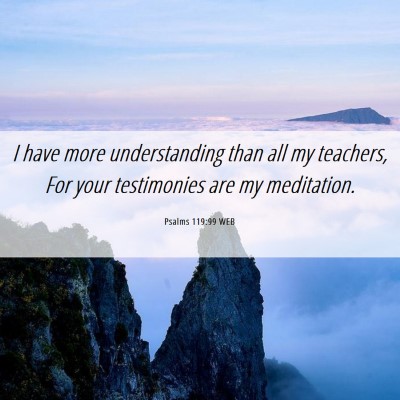 Picture 06 - Psalms 119:99 WEB - I have more understanding than all my teachers, - Bible Verse Picture