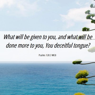 Picture 06 - Psalms 120:3 WEB - What will be given to you, and what will be done - Bible Verse Picture