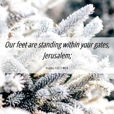 Picture 06 - Psalms 122:2 WEB - Our feet are standing within your gates, - Bible Verse Picture