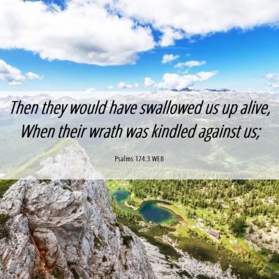 Picture 06 - Psalms 124:3 WEB - Then they would have swallowed us up alive, When - Bible Verse Picture