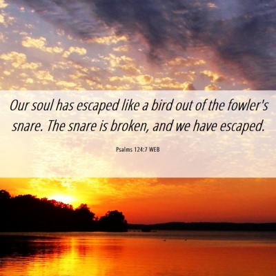 Picture 06 - Psalms 124:7 WEB - Our soul has escaped like a bird out of the - Bible Verse Picture