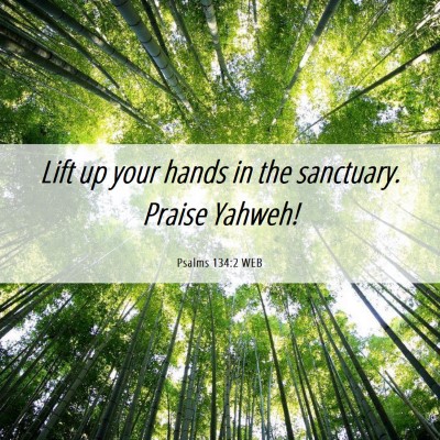 Picture 06 - Psalms 134:2 WEB - Lift up your hands in the sanctuary. Praise - Bible Verse Picture