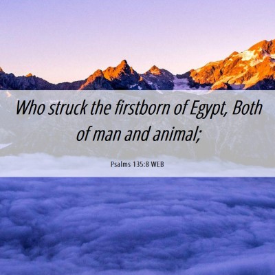 Picture 06 - Psalms 135:8 WEB - Who struck the firstborn of Egypt, Both of man - Bible Verse Picture