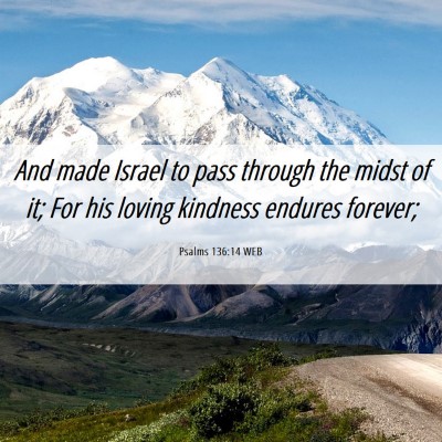 Picture 06 - Psalms 136:14 WEB - And made Israel to pass through the midst of it; - Bible Verse Picture