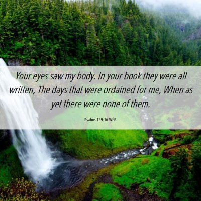 Picture 06 - Psalms 139:16 WEB - Your eyes saw my body. In your book they were all - Bible Verse Picture