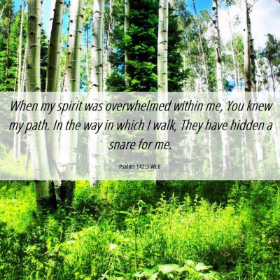 Picture 06 - Psalms 142:3 WEB - When my spirit was overwhelmed within me, You - Bible Verse Picture