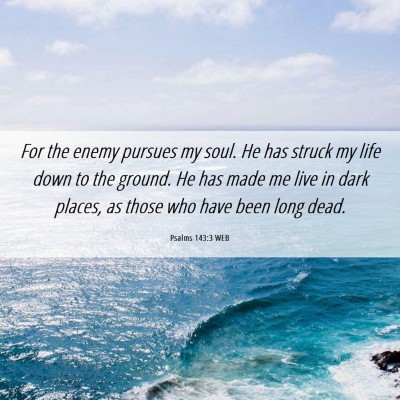 Picture 06 - Psalms 143:3 WEB - For the enemy pursues my soul. He has struck my - Bible Verse Picture