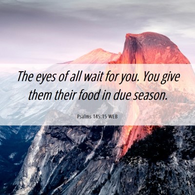 Picture 06 - Psalms 145:15 WEB - The eyes of all wait for you. You give them their - Bible Verse Picture