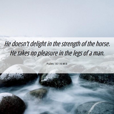 Picture 06 - Psalms 147:10 WEB - He doesn't delight in the strength of the horse. - Bible Verse Picture