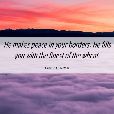 Picture 06 - Psalms 147:14 WEB - He makes peace in your borders. He fills you with - Bible Verse Picture