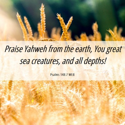 Picture 06 - Psalms 148:7 WEB - Praise Yahweh from the earth, You great sea - Bible Verse Picture