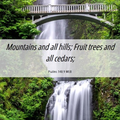 Picture 06 - Psalms 148:9 WEB - Mountains and all hills; Fruit trees and all - Bible Verse Picture