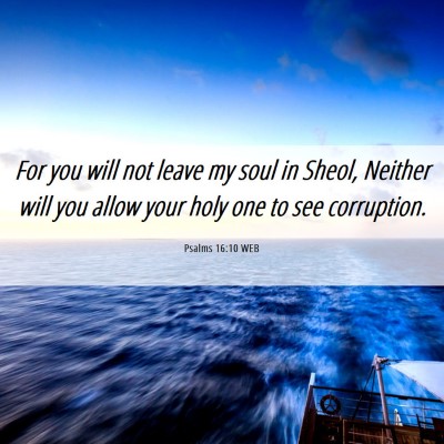 Picture 06 - Psalms 16:10 WEB - For you will not leave my soul in Sheol, Neither - Bible Verse Picture