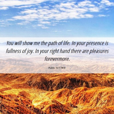 Picture 06 - Psalms 16:11 WEB - You will show me the path of life. In your - Bible Verse Picture