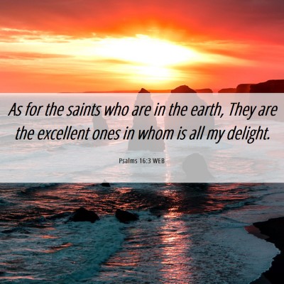 Picture 06 - Psalms 16:3 WEB - As for the saints who are in the earth, They are - Bible Verse Picture