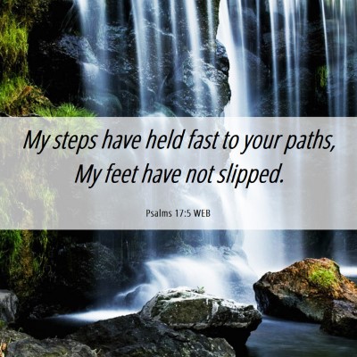 Picture 06 - Psalms 17:5 WEB - My steps have held fast to your paths, My feet - Bible Verse Picture