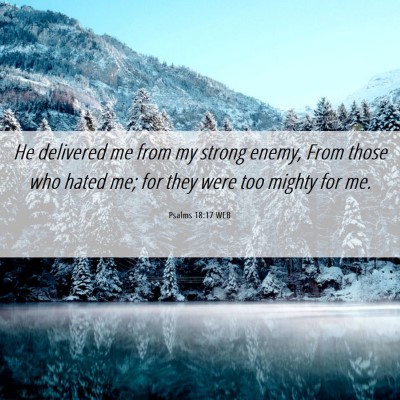 Picture 06 - Psalms 18:17 WEB - He delivered me from my strong enemy, From those - Bible Verse Picture