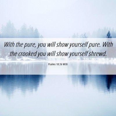 Picture 06 - Psalms 18:26 WEB - With the pure, you will show yourself pure. With - Bible Verse Picture