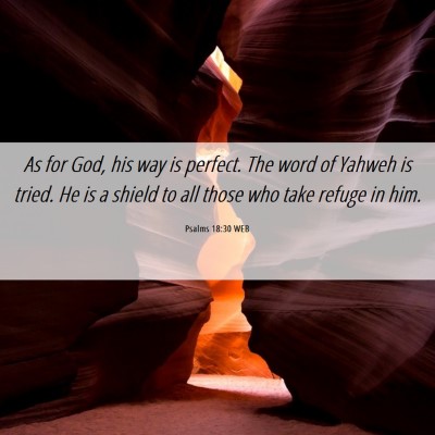 Picture 06 - Psalms 18:30 WEB - As for God, his way is perfect. The word of - Bible Verse Picture