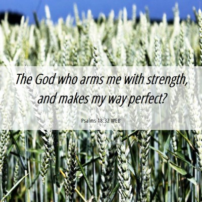 Picture 06 - Psalms 18:32 WEB - The God who arms me with strength, and makes my - Bible Verse Picture