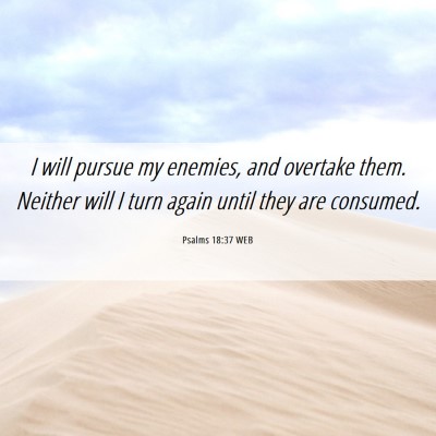Picture 06 - Psalms 18:37 WEB - I will pursue my enemies, and overtake them. - Bible Verse Picture