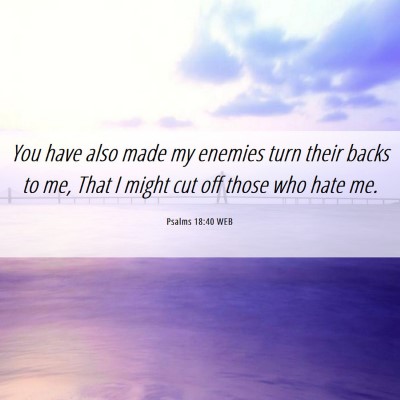 Picture 06 - Psalms 18:40 WEB - You have also made my enemies turn their backs to - Bible Verse Picture