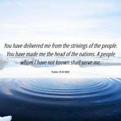 Picture 06 - Psalms 18:43 WEB - You have delivered me from the strivings of the - Bible Verse Picture
