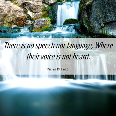 Picture 06 - Psalms 19:3 WEB - There is no speech nor language, Where their - Bible Verse Picture