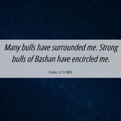Picture 06 - Psalms 22:12 WEB - Many bulls have surrounded me. Strong bulls of - Bible Verse Picture