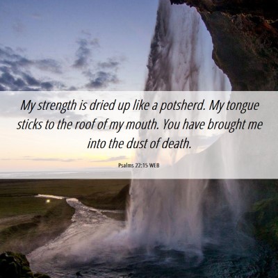Picture 06 - Psalms 22:15 WEB - My strength is dried up like a potsherd. My - Bible Verse Picture